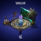 Satellite artwork