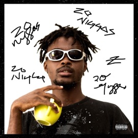 20 N****S (feat. Questo) Zotto