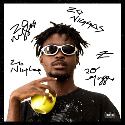 20 N****S (feat. Questo) - Single
