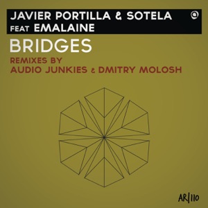 Bridges (feat. Emalaine) - Single