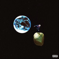 Ceilings - Single - Callix