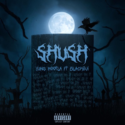 Shush (feat. Blackiivi) - Single