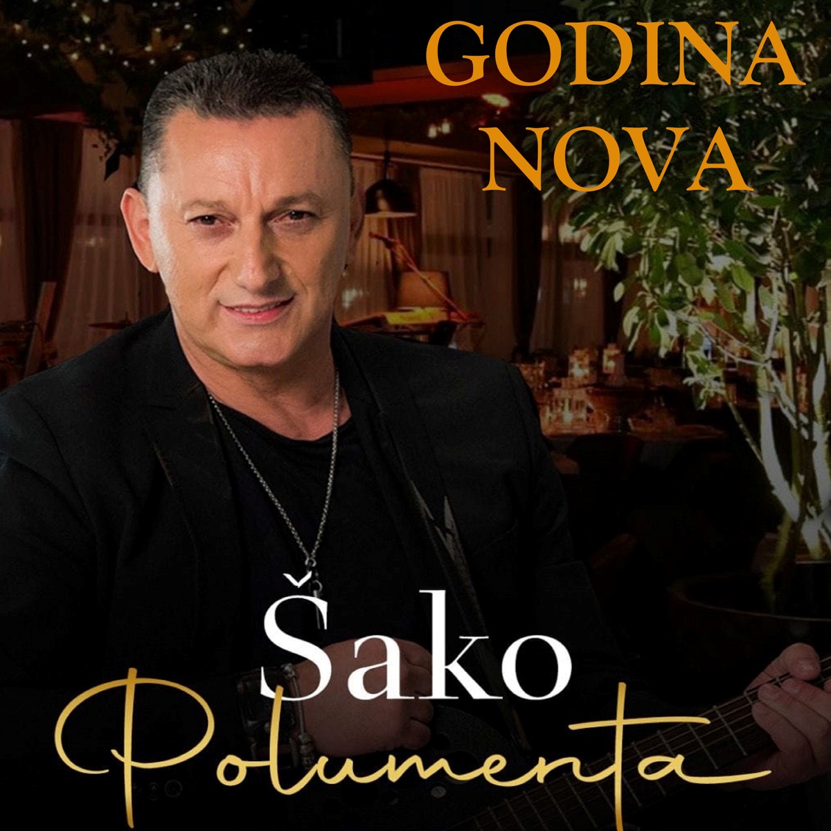 I Pod Sjajem Ruzicastih Zvezda (Serbian Music) by Sako Polumenta on Apple  Music