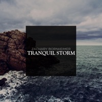 Tranquil Storm (feat. Jonathan Cestero, Jeff Wooldridge, James Suggs, Tom Brantley, Chris Rottmayer, Alejandro Arenas & Paul Gavin) - Single - Zachary Bornheimer