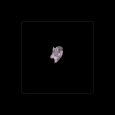 Listen to Opus.808, watch music videos, read bio, see tour dates & more!