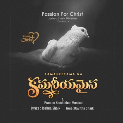 Kamaneeyamaina (feat. Anwesshaa & Pranam Kamlakhar) - Single