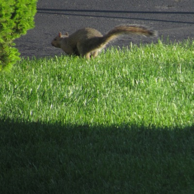 U Hardly Kno Me -_- - Single