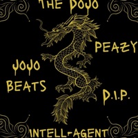 Live from the DoJo - D.I.P. Destruction In Progress