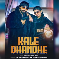 Kale Dhandhe, Yaar Ki Sarkar (feat. Anjali Madhogargh, Param & Janvi) - Single - DK Rajvanshi