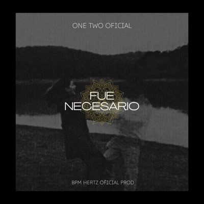 Fue Necesario - Single