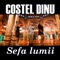 Sefa lumii - Costel Dinu lyrics