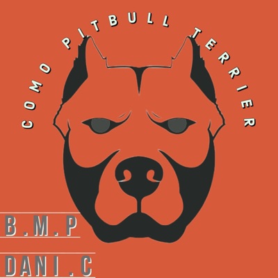 COMO PITBULL TERRIER (feat. dani.c lcdb) - Single