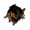 Mentions (feat. MGN Adub & BigBink) - MGN Nate lyrics
