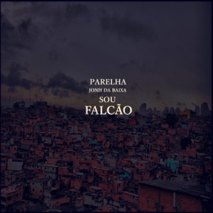 Sou Falcão