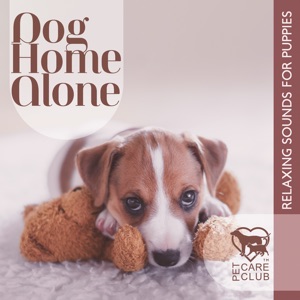 Dog Home Alone (Relaxing Sounds for Puppies)