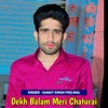 Dekh Balam Meri Chaturai (feat. Anil Chandela) - Single