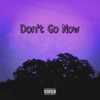 Don't Go Now EP - T-Rain