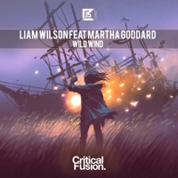 Wild Wind (feat. Martha Goddard) - Single - Liam Wilson