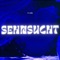 Sehnsucht - FLXN lyrics