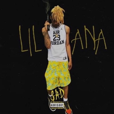 Lil Ana vs. The Wrld : A MBK Collective