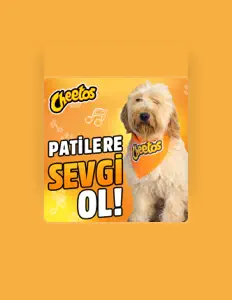 Cheetosを聴いたり、ミュージックビデオを鑑賞したり、経歴やツアー日程などを確認したりしましょう！