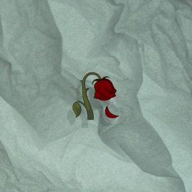 Petty Love HALES & EDY