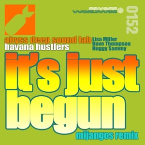 It's Just Begun - Single