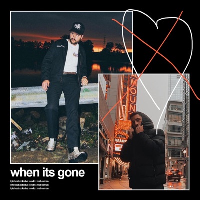When it's gone (feat. Vwillz) - Single