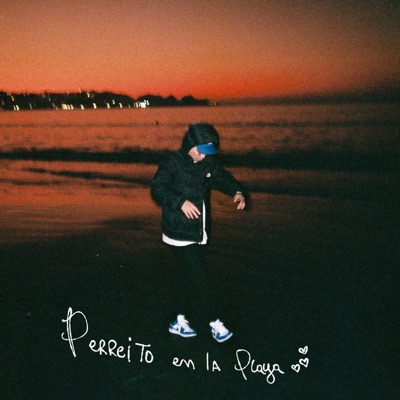 PERREITO EN LA PLAYA