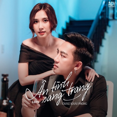 Ân Tình Sang Trang (Lofi) - Single