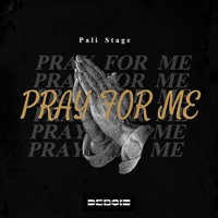 Pray for me (feat. Palesa Stage) - Single - Deboiz