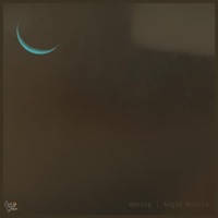 Waning - Single - Angie Nicole & Chill Station