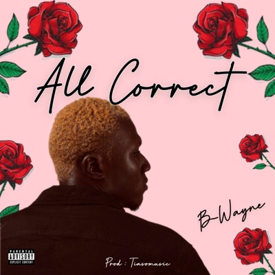 All Correct - Single