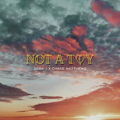 NOT A TOY (feat. Chase Matthews) - Single