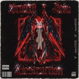 Destruction (feat. $Ebu) BRANXN
