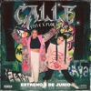 Calle (feat. Flor De Rap) - Single