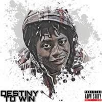 Destiny To Win - Single - Numa Mizkid