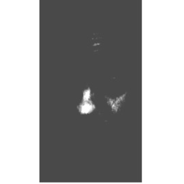 Whatchu Sayin YUNG AP