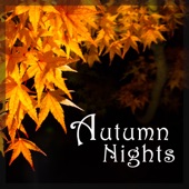 João Gilberto - Autumn Nights artwork