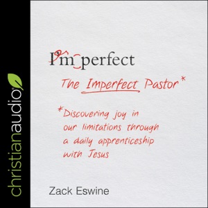 The Imperfect Pastor : Discovering Joy in Our Limitations through a Daily Apprenticeship with Jesus