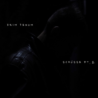 Schüsse Pt. 2 - Single