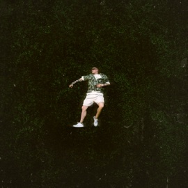 Плевать HOLLYFLAME