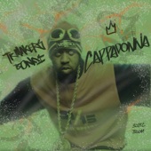 Cappadonna artwork