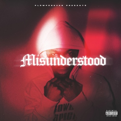 Misunderstood
