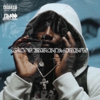 Government - Single - RENZ