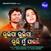 Bhulijaa Bhulijaa Bhuli Mun Jaichi - Single