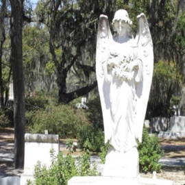 Paranoja Watchmedieslowly