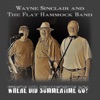 Where Did Summertime Go? - Single