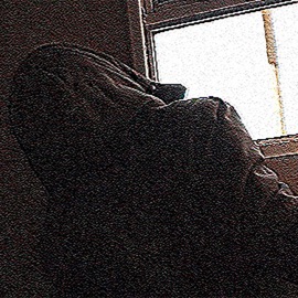 Kamisama токсичность.