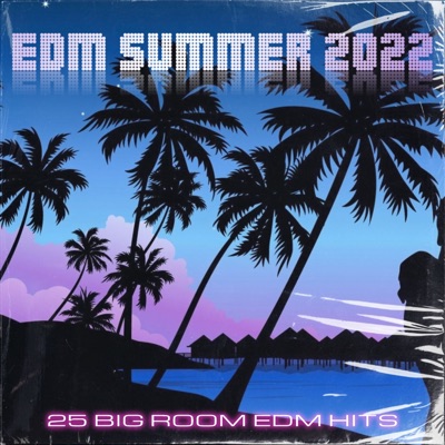 EDM Summer 2022 (25 Big Room EDM Hits)